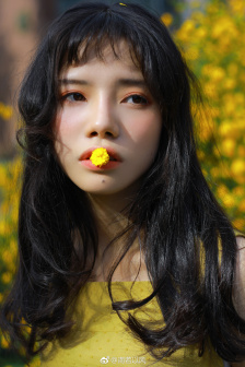 契约宠奴